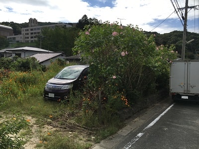 空地の草刈り作業