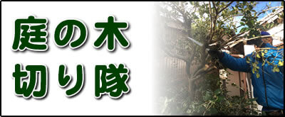 【便利屋】暮らしなんでもお助け隊 福岡別府店にて何でも屋・便利屋サービス「庭の木切り隊」は、遠く離れた福岡のご実家が空き家となり、お庭でボウボウに伸びた庭木の伐採、庭木の剪定を行っています。さらに庭にある倉庫の片付けなども行っています。その他、福岡のご実家・ご両親の心配事・お困り事何でも解決しています。ご相談ください。